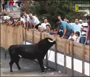 Tauntingbullfail_yapfiles.ru