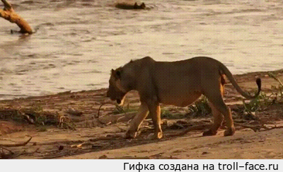 1376482605_1231550440