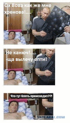Анимация