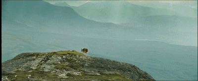 Ljessi.2005.XviD.DVDRip-MashystiцK1