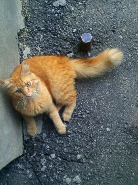 Photo0046 копия