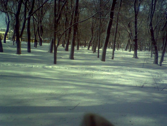 SP_A0570 ЗИМА в ОДЕССЕ