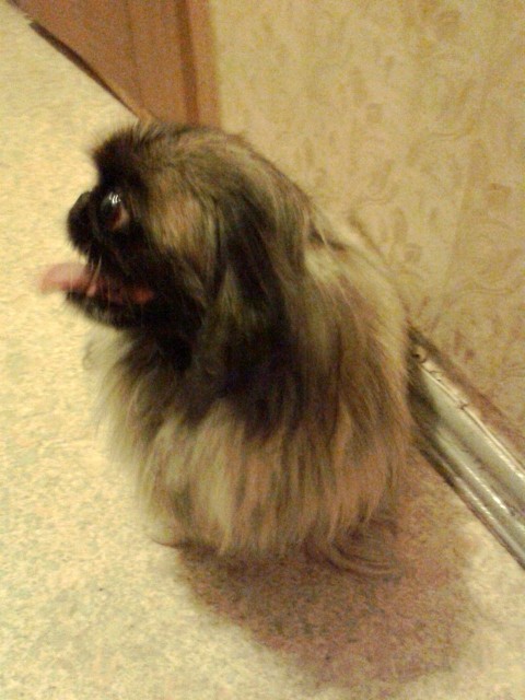 2013-08-30 13.19.54-2