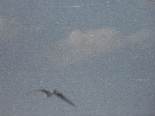 2011_0807_060403гиф2