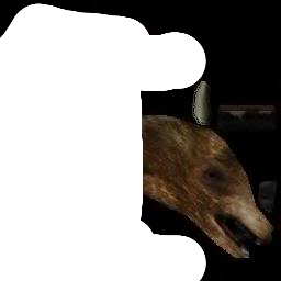 BearskinRug_0