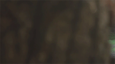 1377987371_727743272