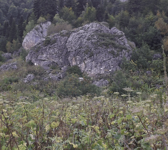 2013-09-01_100331