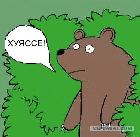 Медведь хуяссе