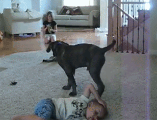 Parenting-Fail-Gifs-18