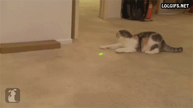 гифки-внезапно-875877