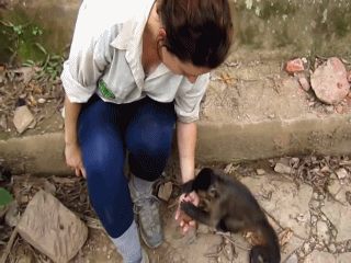 1379003954_1553313984