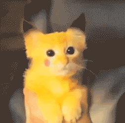 гифки-котэ-живность-пикачу-877391