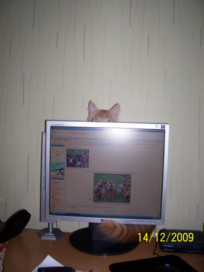 Изображение 021