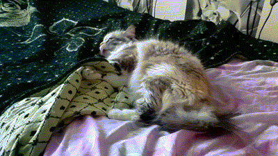 1379089868_965540022