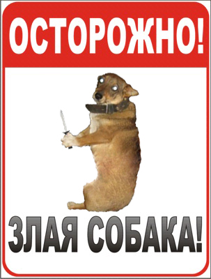 730298357 копия