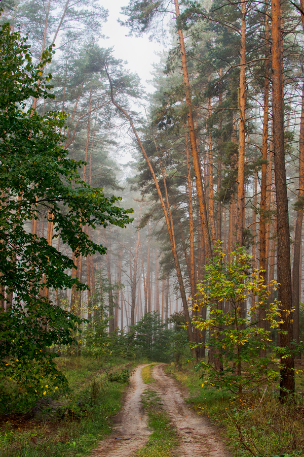 DSC_1701