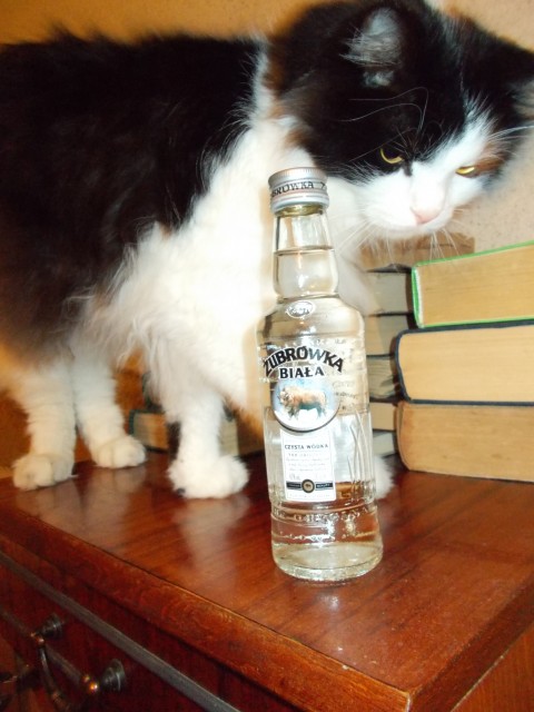 Изображение 139