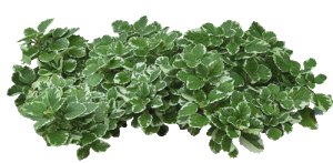 укгозл