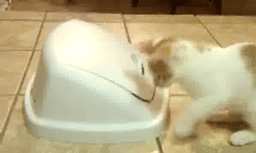 1379838011_124178381