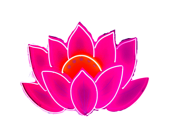 neon-lotus-noch-копия