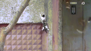 1380267765_686568225