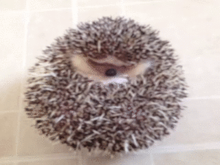 1380295188_812425609