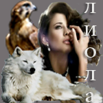 Без имени-2