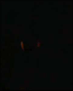 doc2748008_155849381