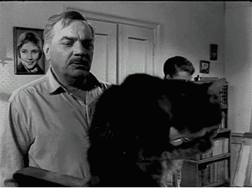 коты в ссср