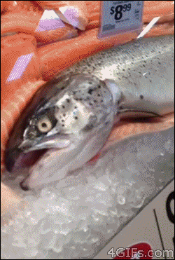 1381119100_693549755