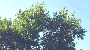 DSCF3932гиф (2)