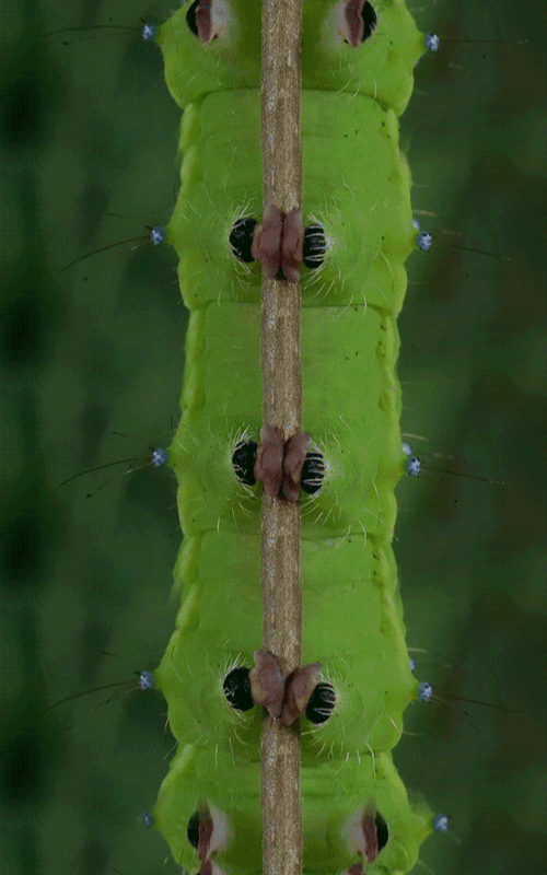 1381479157_1782702186