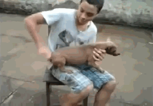 гифки-песочница-юмор-заводной-апельсин-918270