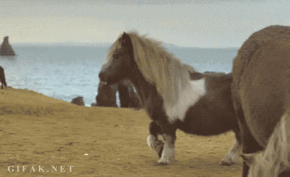 1362307087_1053386193