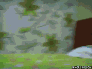 1382328356_1749459976