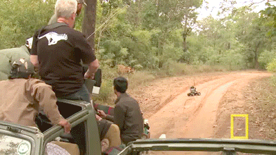 1382371272_888669378