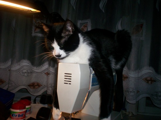 Жорик и машинка