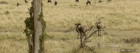 1382586212_319021210