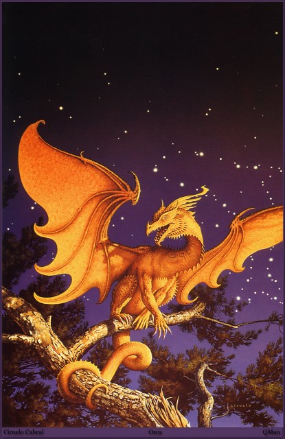 QMan_CC_TAOC_518_Orca