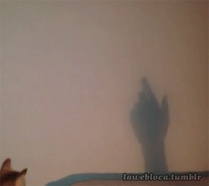 1383212528_628611411