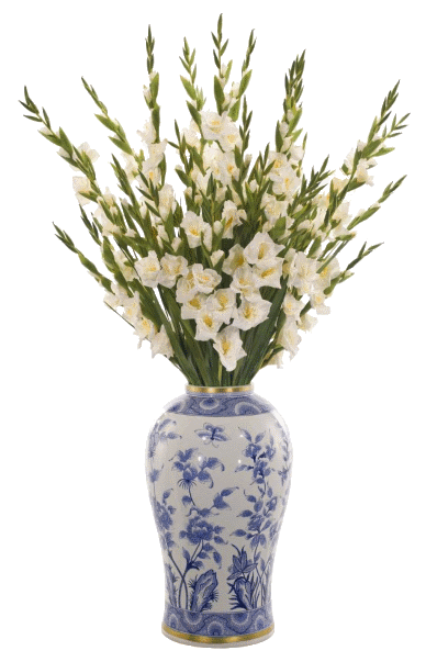 whitegladiivase_zps61f3e524