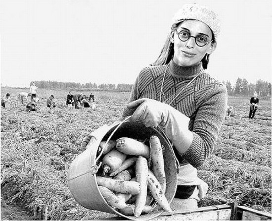 577457323f93afe5a1fd45b0b79d1b29_full