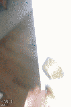 1383712395_674070438