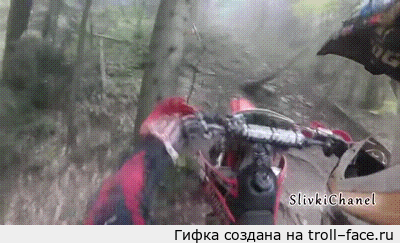 1383747915_364296969