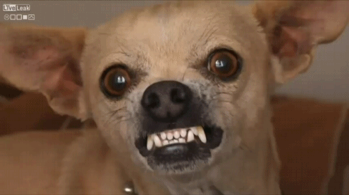 1381088412_455940166