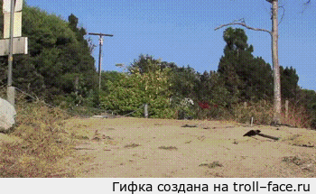 1384026222_178479286