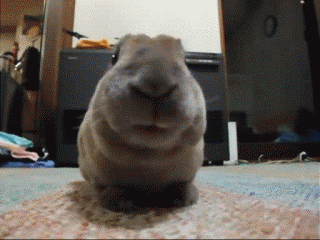 a7e7091aabf5d63fc4bd4ccaa9c16d49