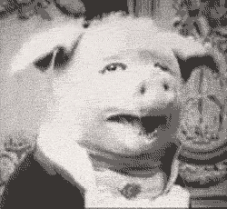 13123
