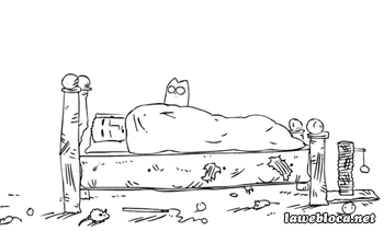 catass
