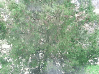 Video0004